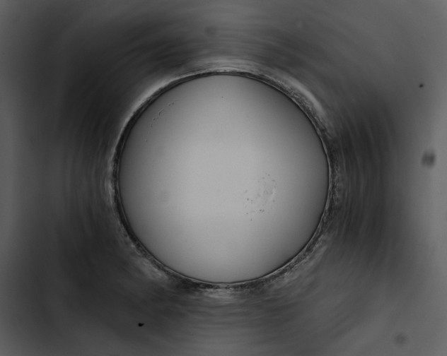 X0000102821182200809081124