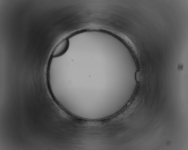 X0000102821183200809081124