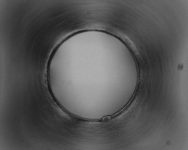 X0000102821184200809081124