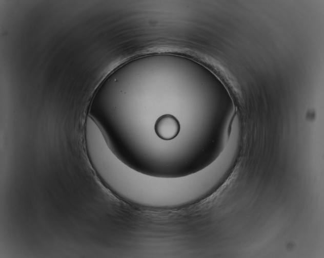 X0000102821185200809081124