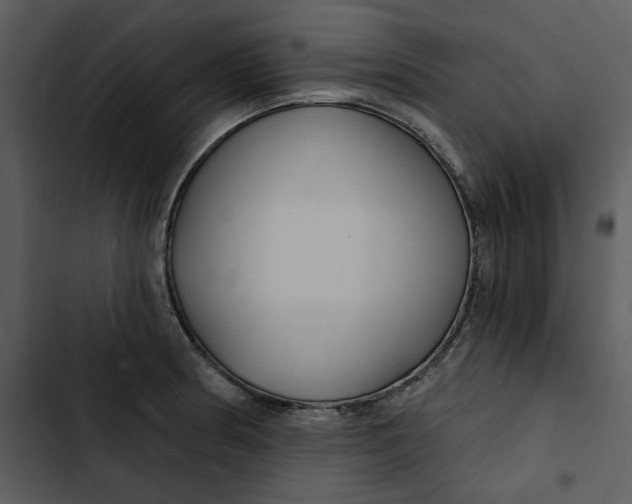 X0000102821186200809081124