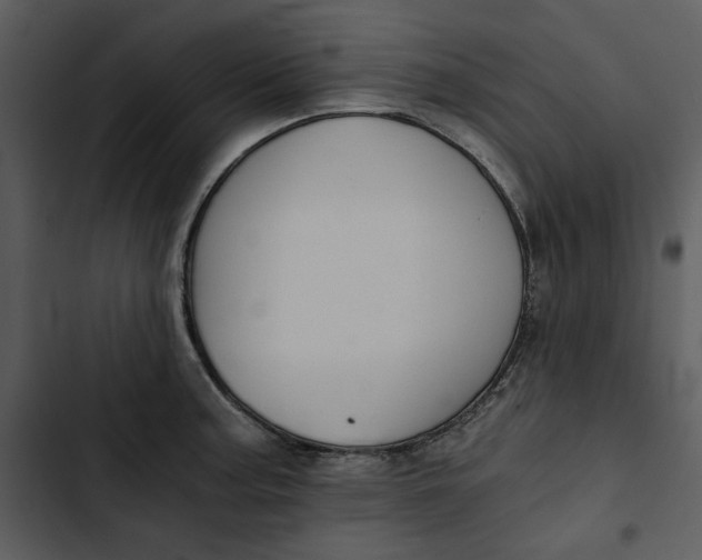 X0000102821187200809081124