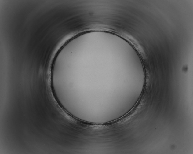 X0000102821188200809081124