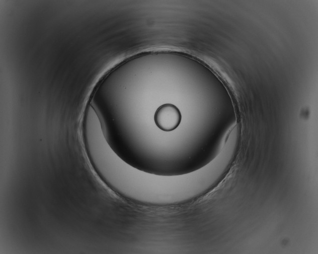 X0000102821189200809081124