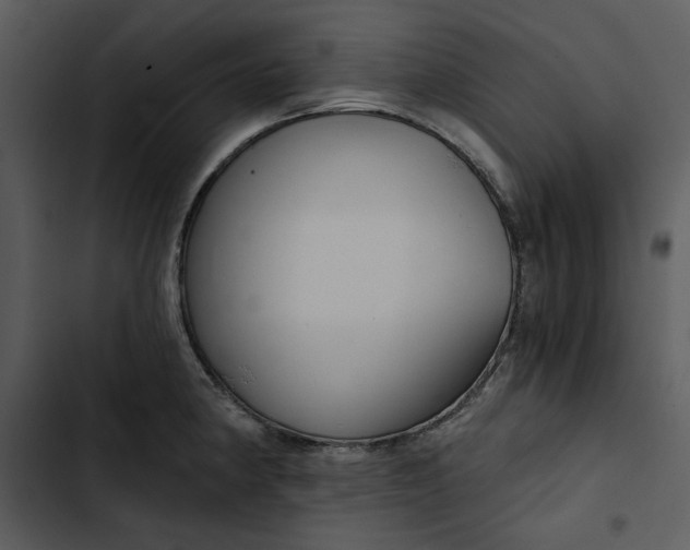 X0000102821190200809081124