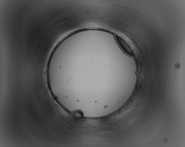 X0000102821191200809081124