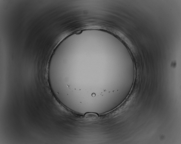 X0000102821193200809081124