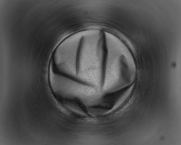 X0000102821194200809081124