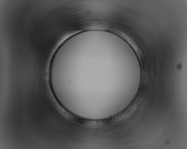 X0000102821195200809081124