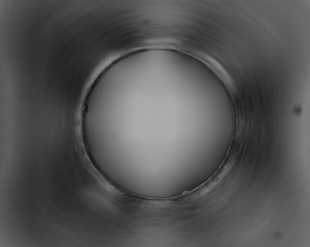 X0000102821196200809081124