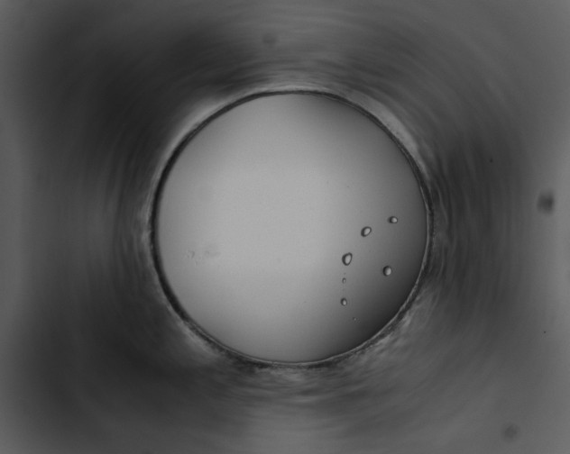 X0000102821197200809081124