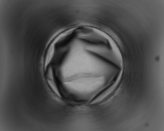 X0000102821198200809081124