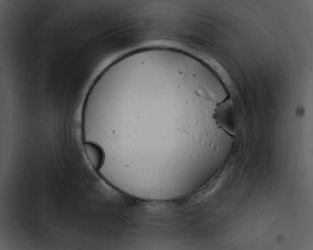 X0000102821199200809081124