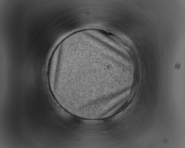 X0000102821200200809081124