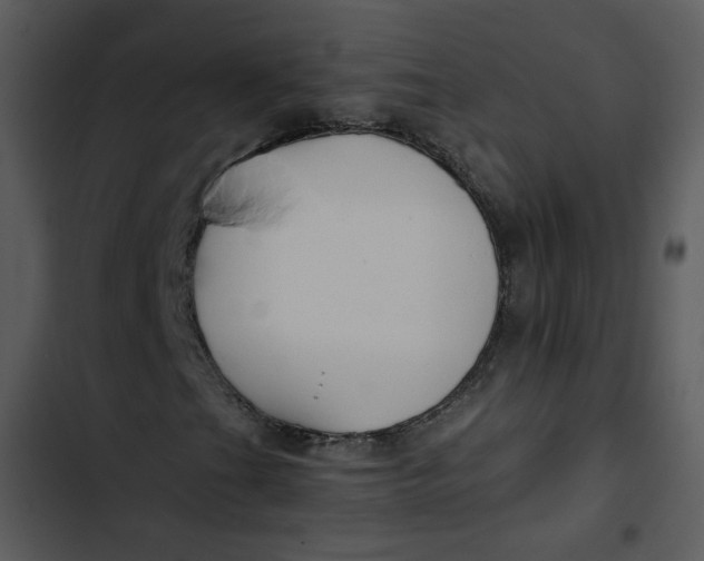 X0000102821201200809081123