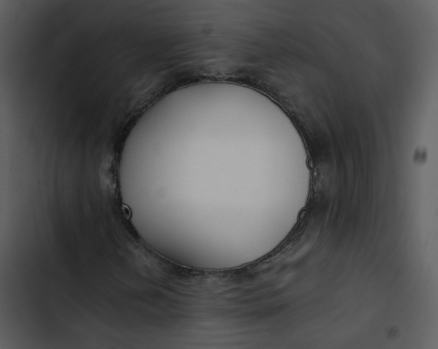 X0000102821202200809081123