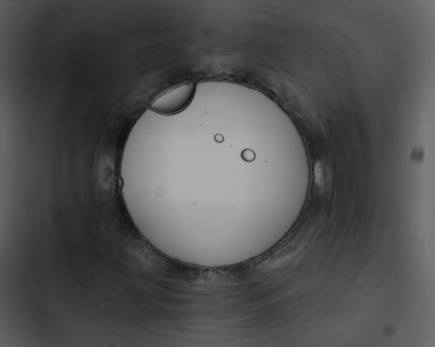 X0000102821203200809081123