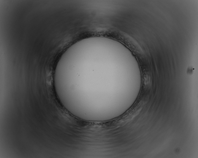 X0000102821204200809081123