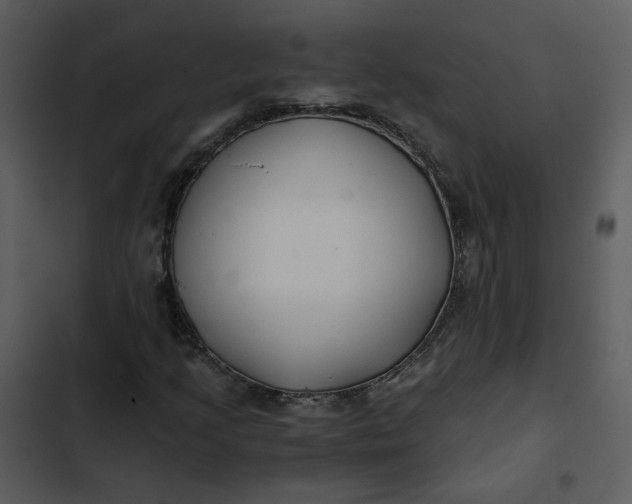 X0000102821205200809081123