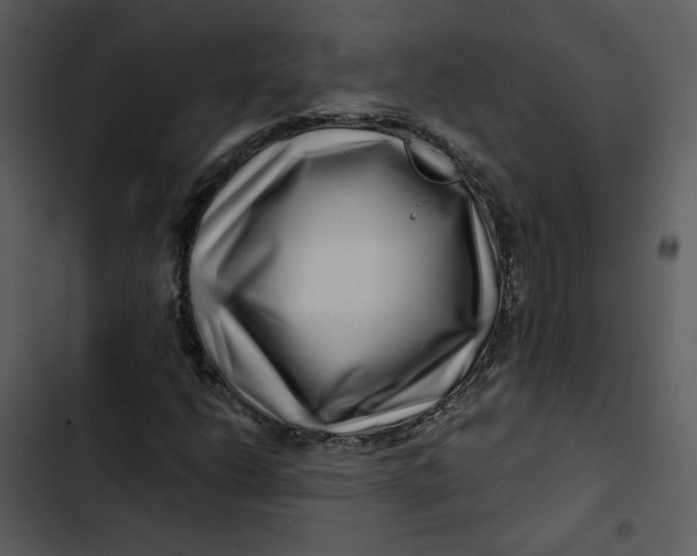 X0000102821206200809081123