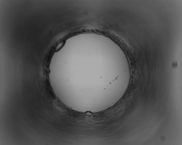 X0000102821207200809081123