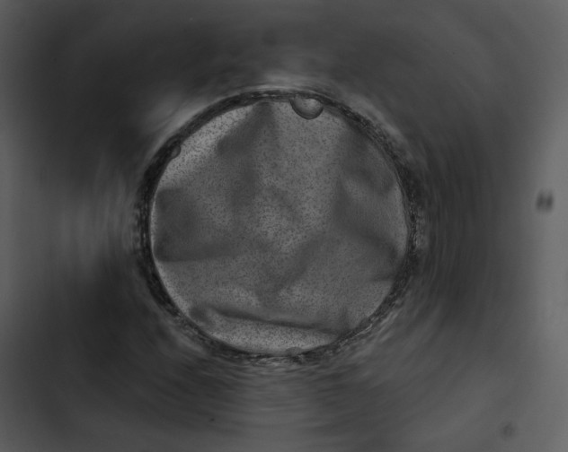 X0000102821208200809081123