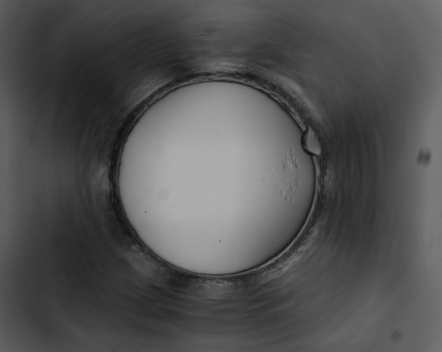 X0000102821209200809081123