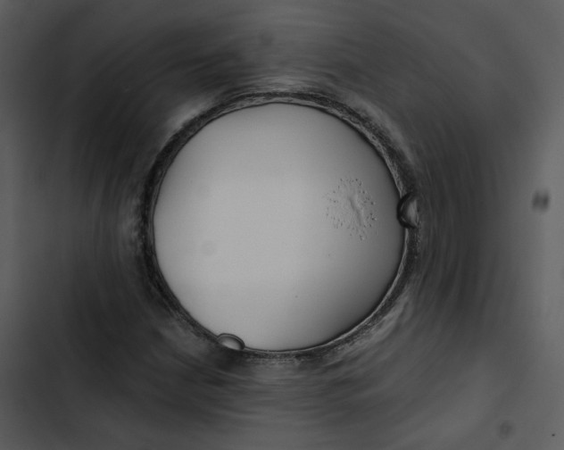 X0000102821210200809081123