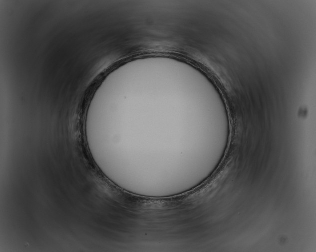 X0000102821211200809081123