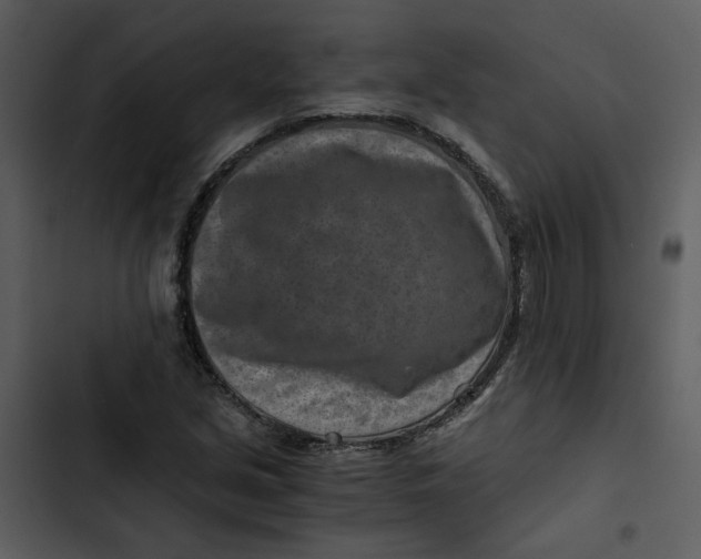 X0000102821213200809081123