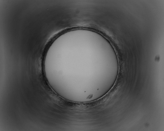 X0000102821214200809081123