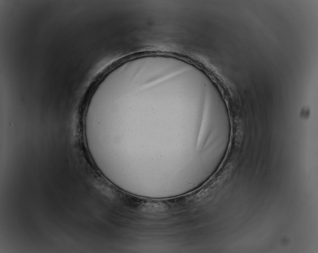 X0000102821215200809081123