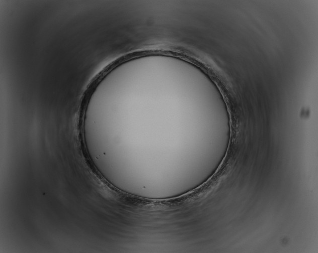 X0000102821216200809081123