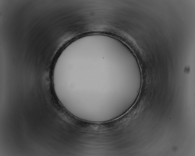 X0000102821218200809081123