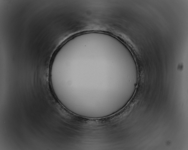 X0000102821220200809081123