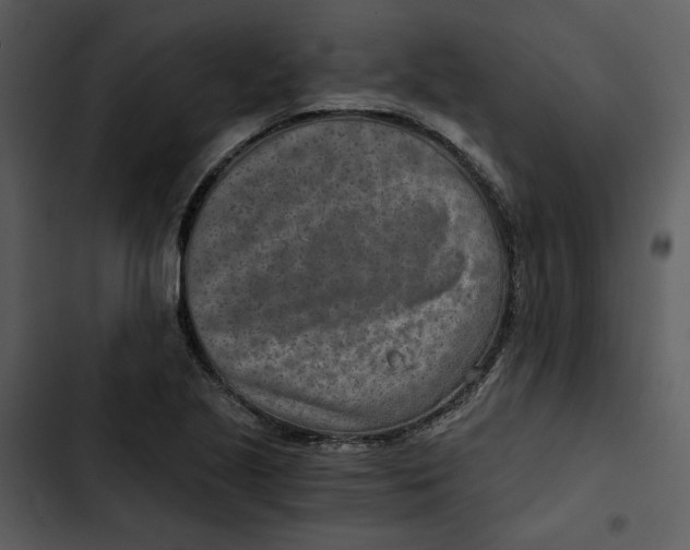 X0000102821221200809081123