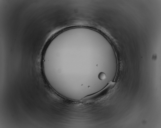 X0000102821222200809081123