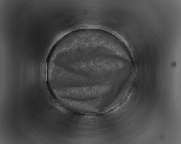 X0000102821223200809081123