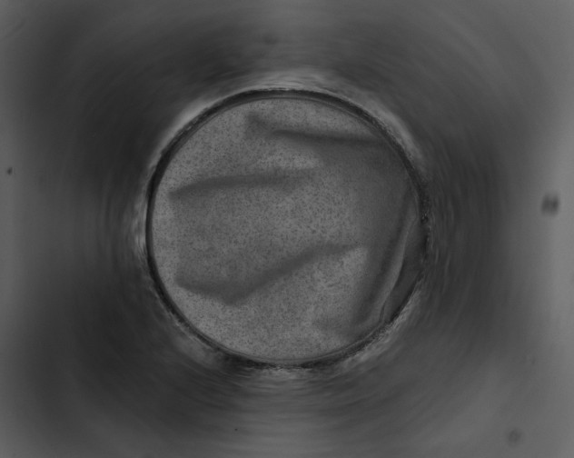 X0000102821224200809081123