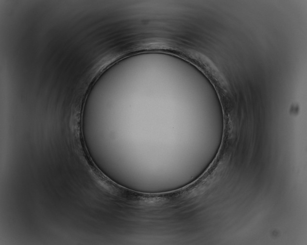 X0000102821225200809081123