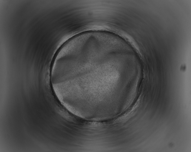 X0000102821226200809081123