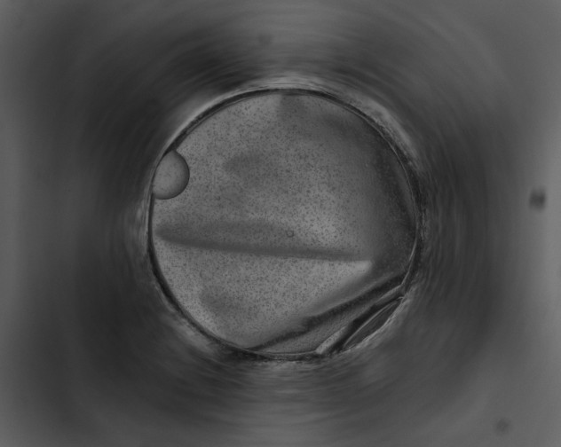 X0000102821228200809081123