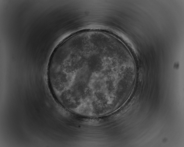 X0000102821229200809081124