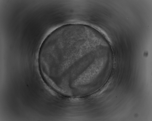 X0000102821231200809081124