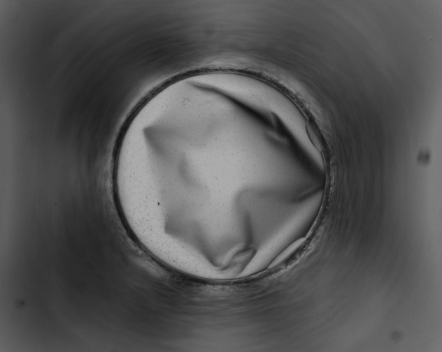 X0000102821232200809081124