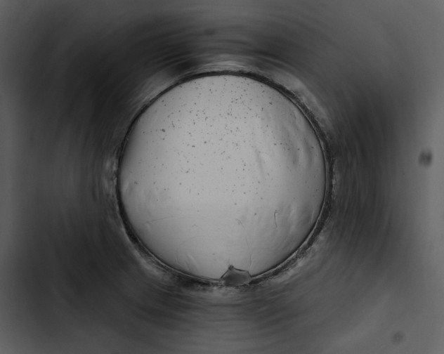 X0000102821233200809081124