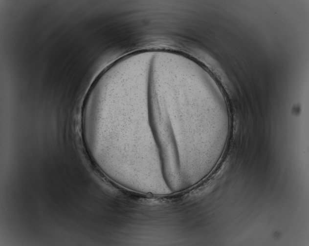 X0000102821234200809081124