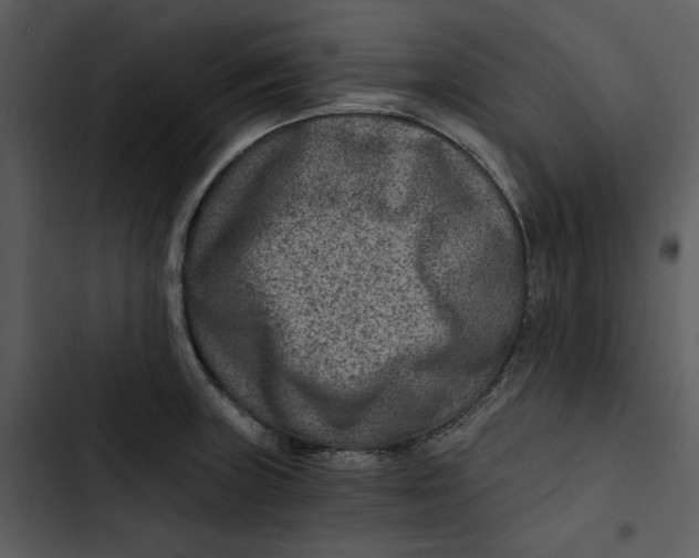 X0000102821235200809081124