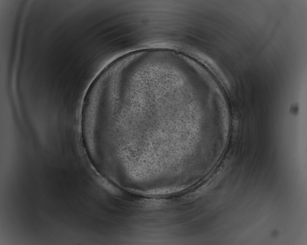 X0000102821236200809081124