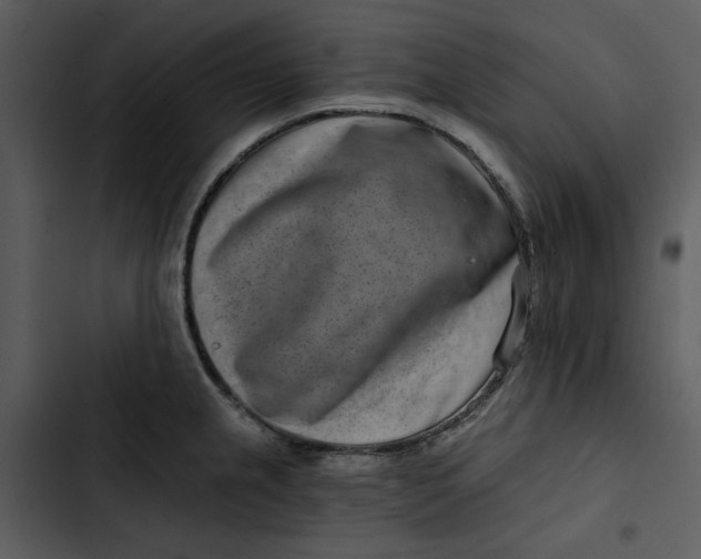 X0000102821237200809081124